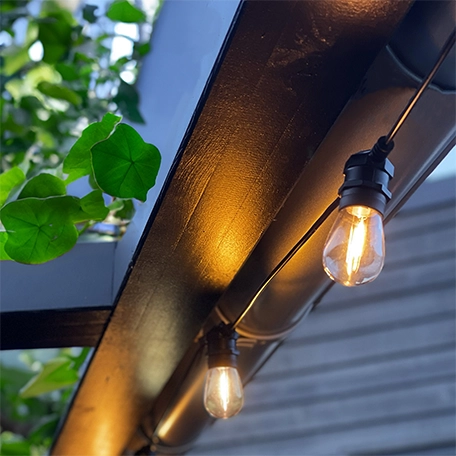 Ljusslinga Cosy, Ligtson