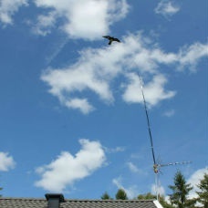Komplett Fågelskrämma Höken med extra drake 6 meter