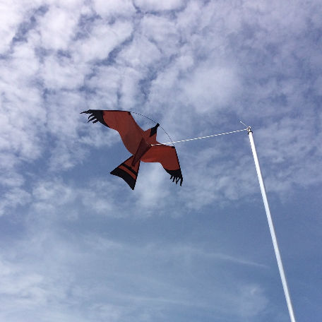 Komplett Fågelskrämma Ormvråken 5 meter med aluminium spö