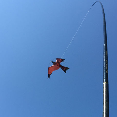 Komplett Fågelskrämma Ormvråken 5 meter