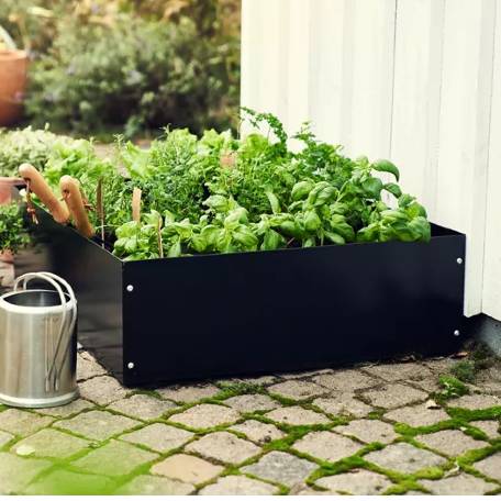 Halvpallskrage för odling 800x600 mm svart