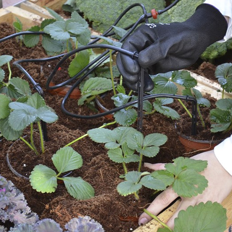 Växthus | Droppbevattningskit till växthus