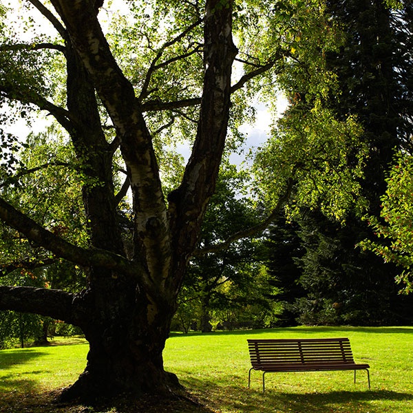 Parkbänkar | Soffa Stockholm - Brun