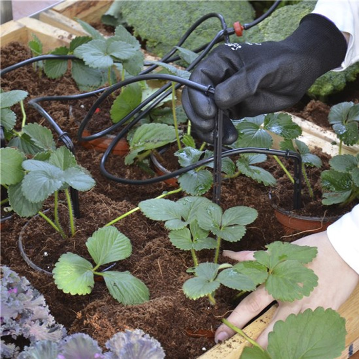 Växthus | Droppbevattningskit till växthus