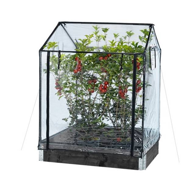 Växthus | Växthus till odlingskrage 80 x 120 cm