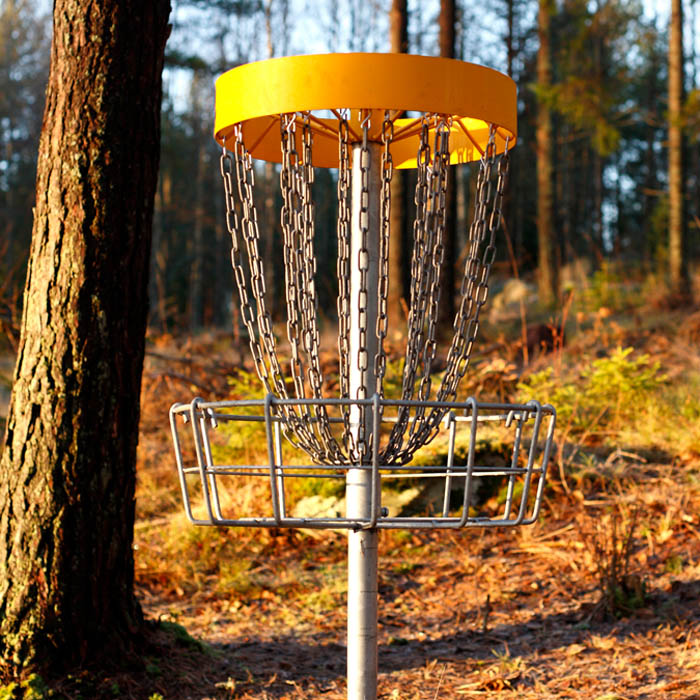 Bollsport | Discgolf Active target